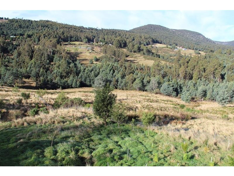 685 Pelverata Road, Kaoota TAS 7150