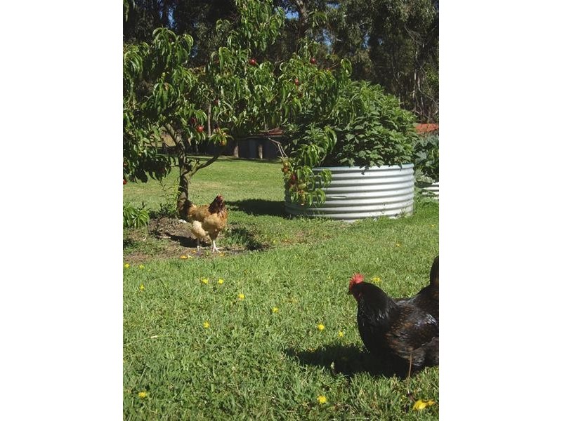 99 Benders Road, Huonville TAS 7109