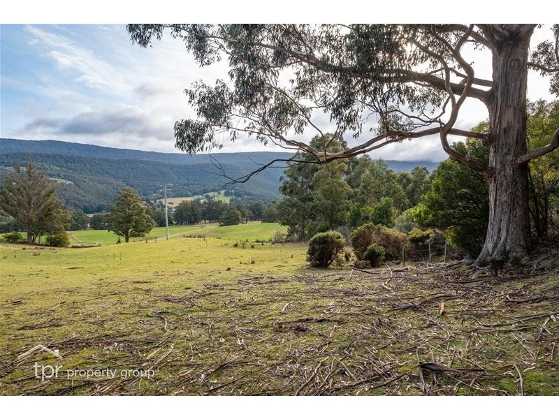 Lot 2 off Sepia Road, Mountain River TAS 7109