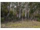 Lot 2 off Sepia Road, Mountain River TAS 7109