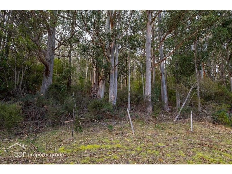 Lot 2 off Sepia Road, Mountain River TAS 7109