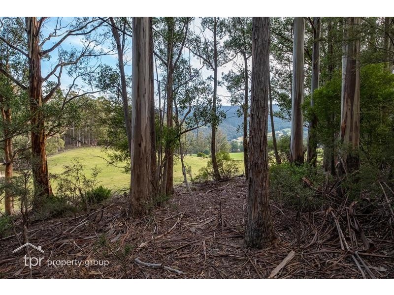 Lot 2 off Sepia Road, Mountain River TAS 7109