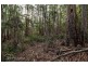 Lot 2 off Sepia Road, Mountain River TAS 7109