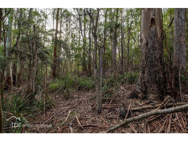 Lot 2 off Sepia Road, Mountain River TAS 7109