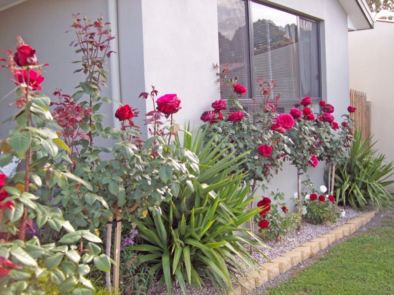 7 Pear Tree Close, Huonville TAS 7109