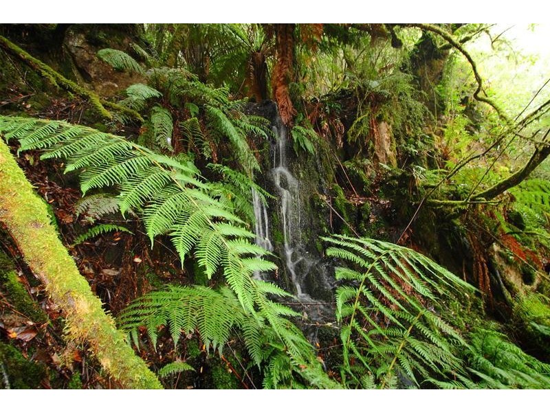 300 Browns Road, Ranelagh TAS 7109