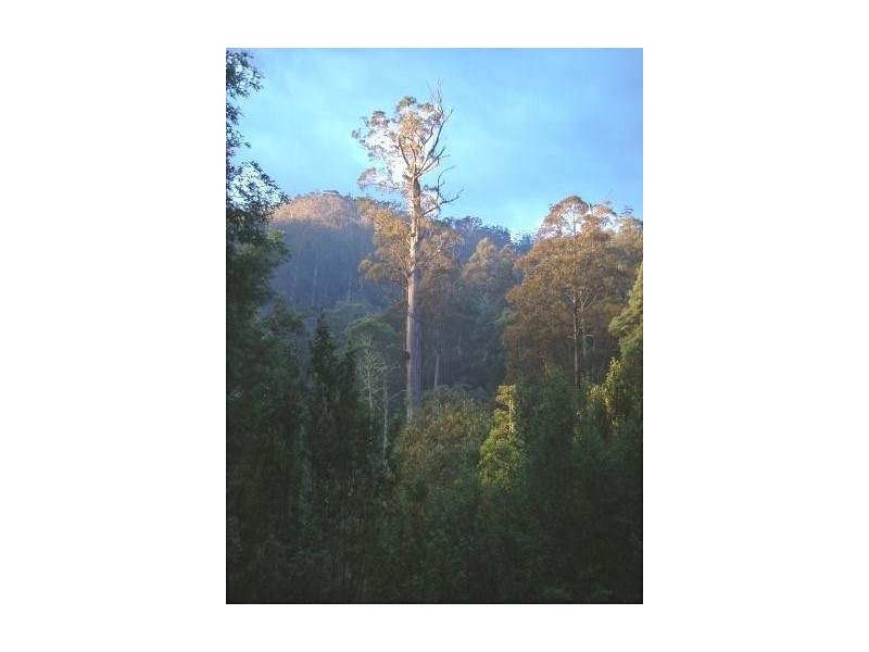 300 Browns Road, Ranelagh TAS 7109