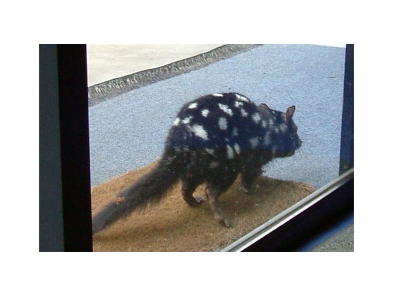 300 Browns Road, Ranelagh TAS 7109