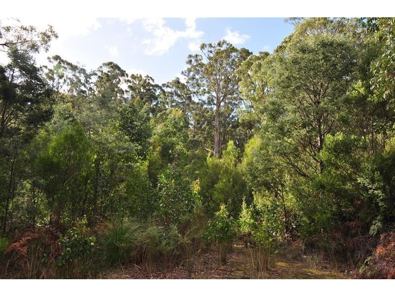 Lot 3 Bakers Creek Road, Lucaston TAS 7109