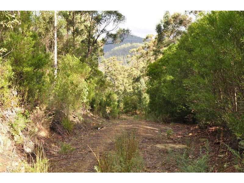 Lot 3 Bakers Creek Road, Lucaston TAS 7109