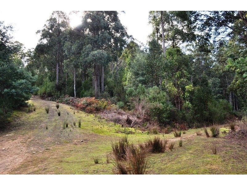 Lot 3 Bakers Creek Road, Lucaston TAS 7109