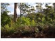 Lot 3 Bakers Creek Road, Lucaston TAS 7109