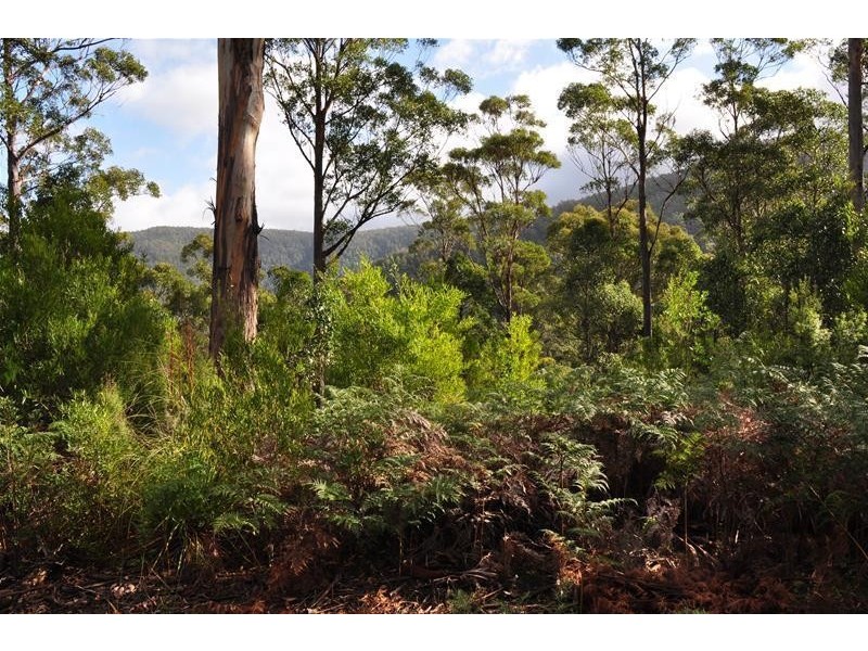 Lot 3 Bakers Creek Road, Lucaston TAS 7109