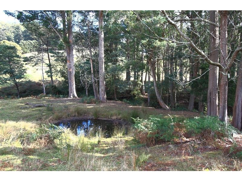 Lot 1 Cross  Road, Nicholls Rivulet TAS 7112