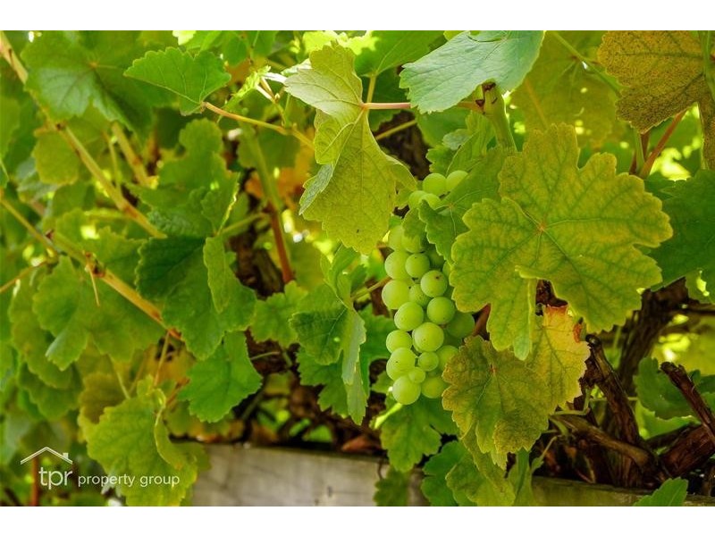 83 Mountain River Road, Grove TAS 7109