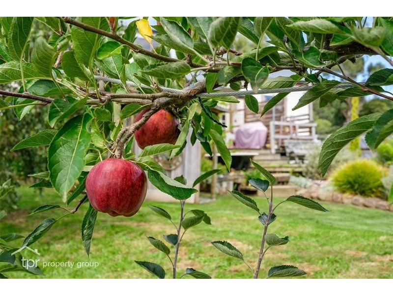 83 Mountain River Road, Grove TAS 7109