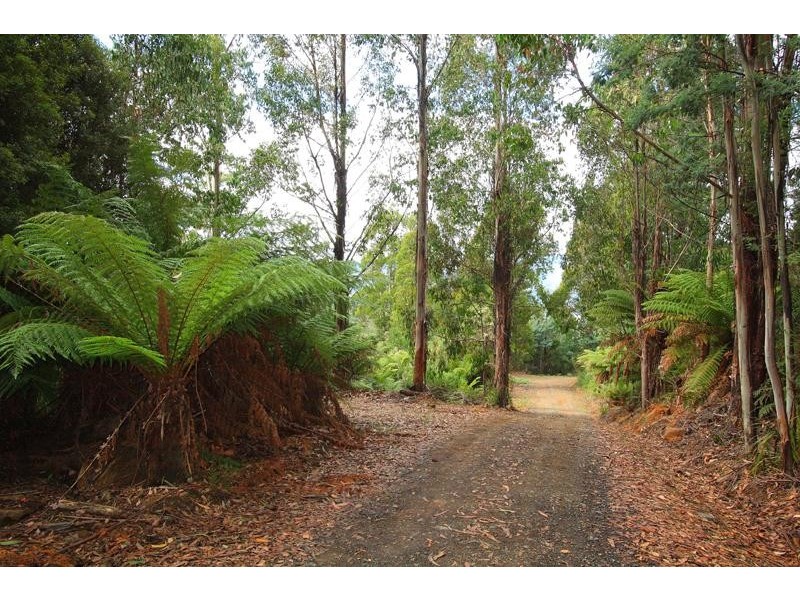 72 Chambers Road, Franklin TAS 7113