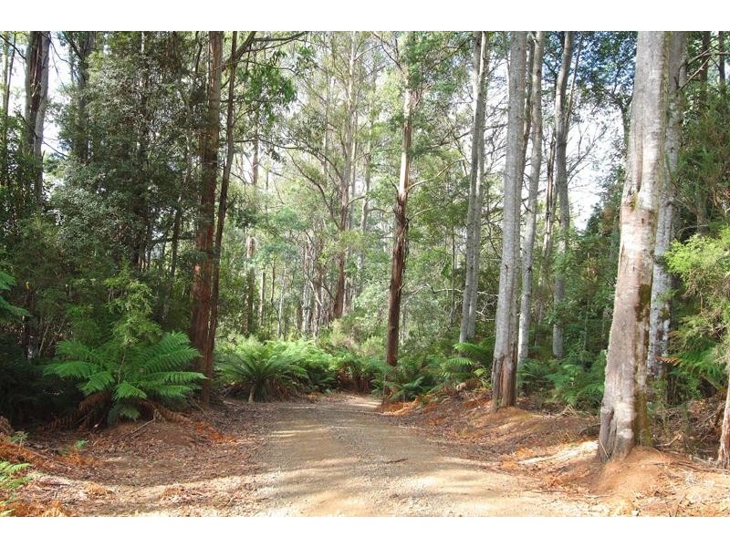 72 Chambers Road, Franklin TAS 7113