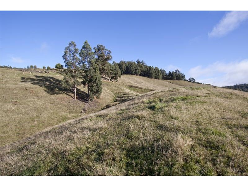 377A Arve Road, Geeveston TAS 7116
