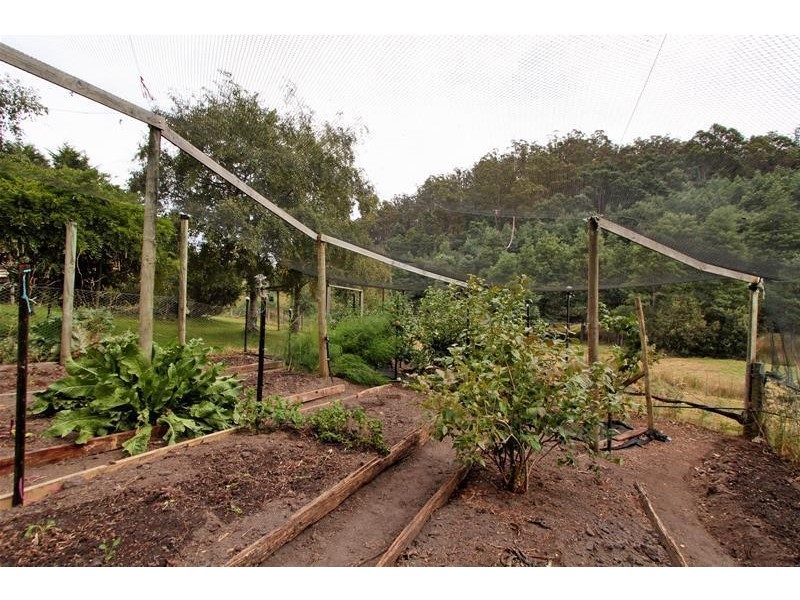 179 Guys Road, Cygnet TAS 7112