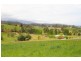 21 Slab Road, Cygnet TAS 7112