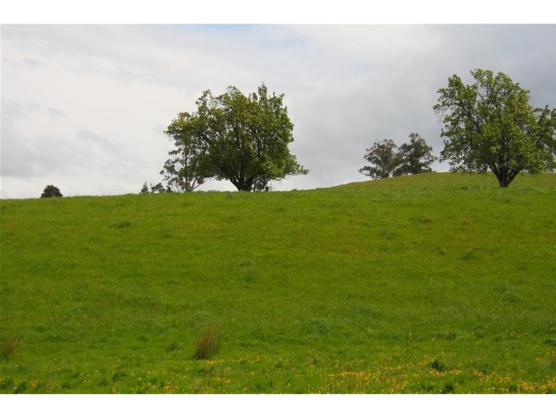 21 Slab Road, Cygnet TAS 7112