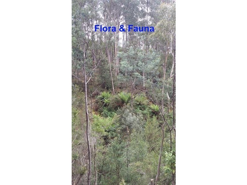 198647/3 Scotts Road, Kingston TAS 7050