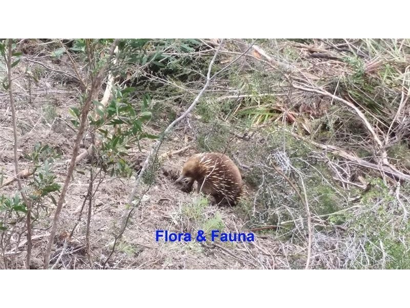 198647/3 Scotts Road, Kingston TAS 7050