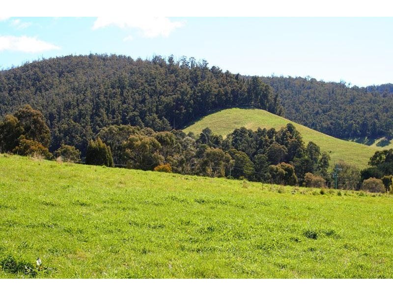 209 Bakers Creek Road, Lucaston TAS 7109