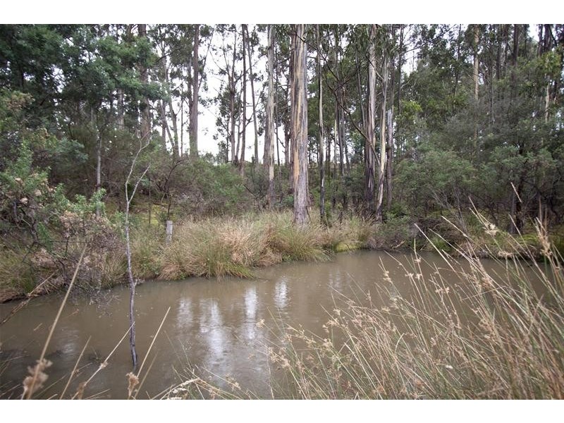 209 Middle Road, Pelverata TAS 7150