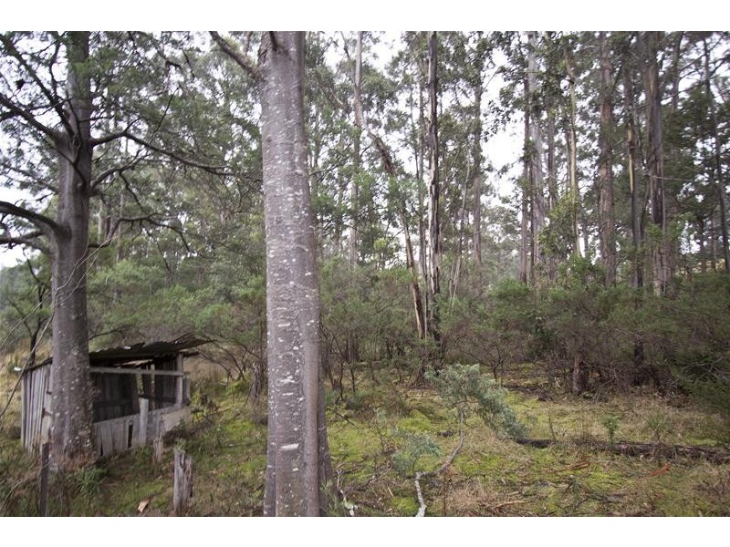 209 Middle Road, Pelverata TAS 7150