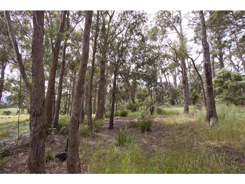 66 Mountain River Road, Grove TAS 7109