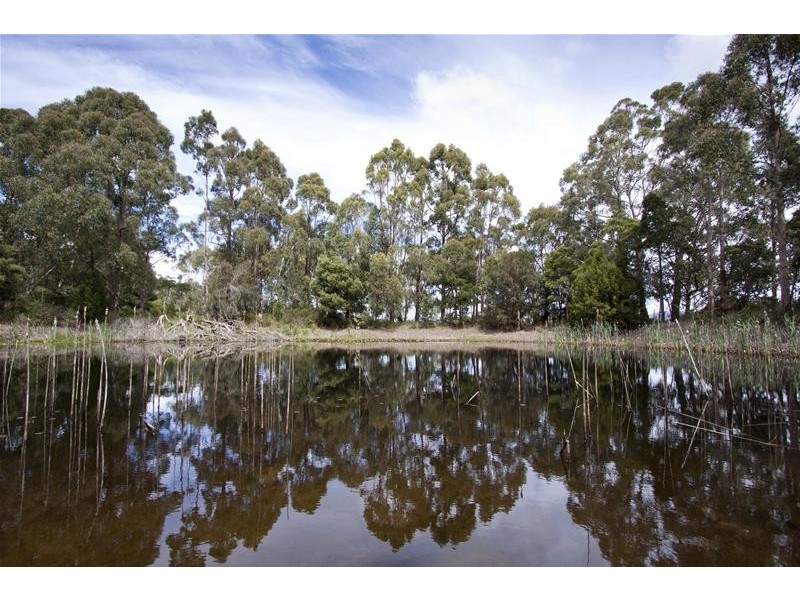 66 Mountain River Road, Grove TAS 7109