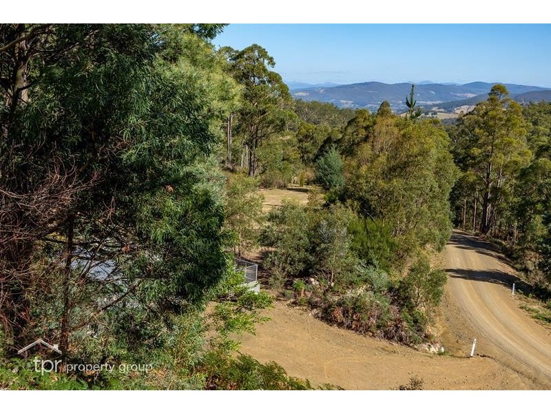 32 Moss Beds Road, Mountain River TAS 7109