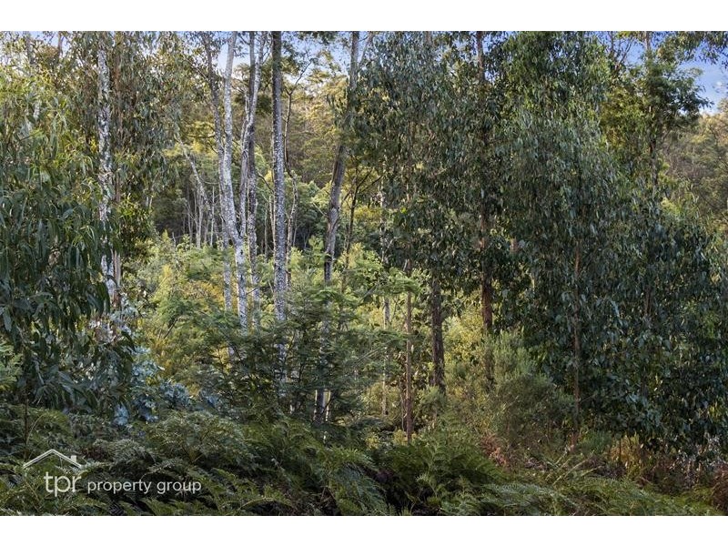 1 Behrens Road, Dover TAS 7117