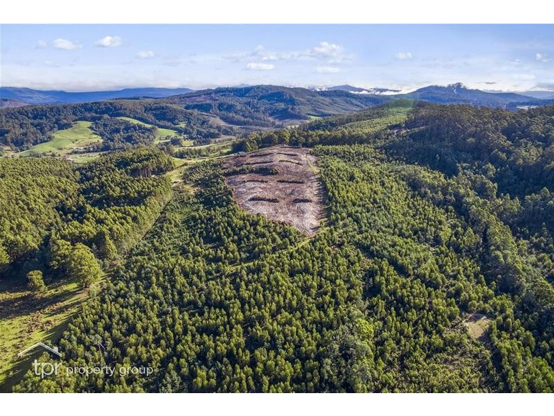 1 Behrens Road, Dover TAS 7117