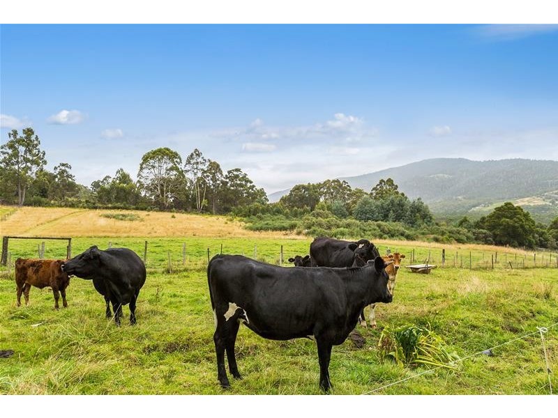 3064A Huon Highway, Franklin TAS 7113