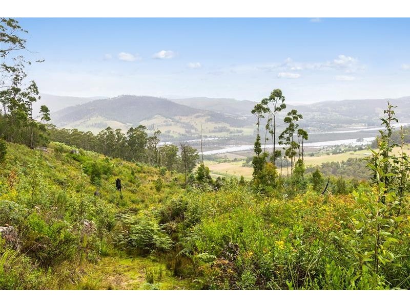 3064A Huon Highway, Franklin TAS 7113