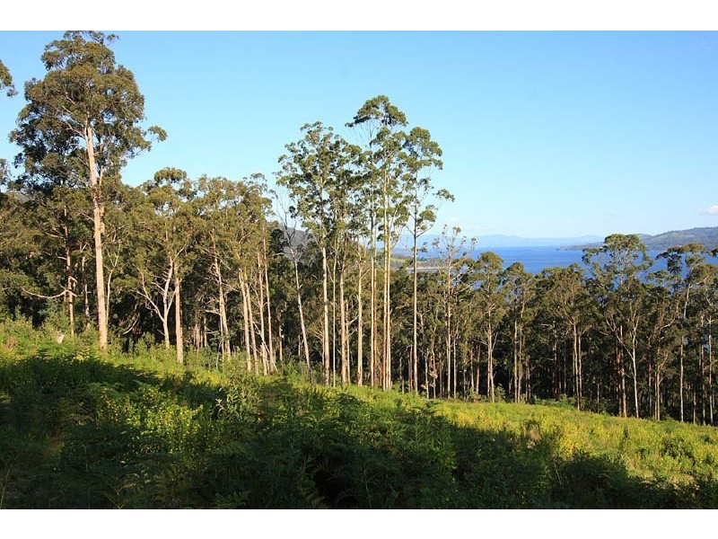 LOT 3 Cygnet Coast Road, Petcheys Bay TAS 7109
