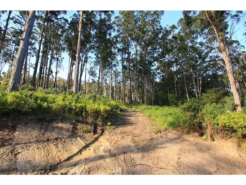 LOT 3 Cygnet Coast Road, Petcheys Bay TAS 7109
