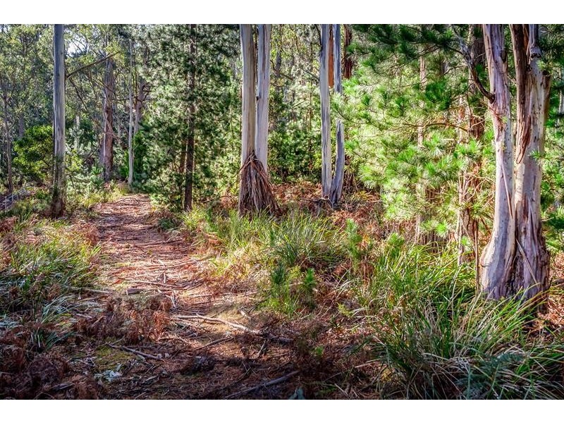 6402 Channel Highway, Randalls Bay TAS 7112