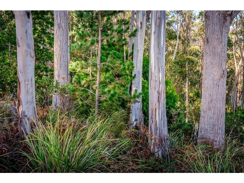 6402 Channel Highway, Randalls Bay TAS 7112