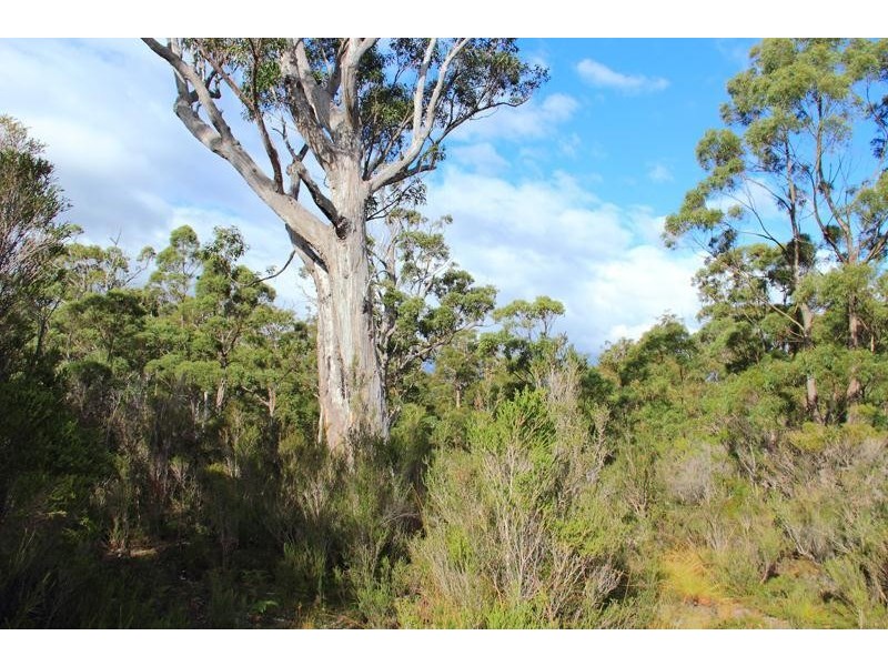 210863/1 Hastings Bay Esplanade, Hastings TAS 7109