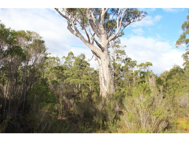 210863/1 Hastings Bay Esplanade, Hastings TAS 7109