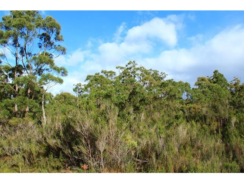 210863/1 Hastings Bay Esplanade, Hastings TAS 7109