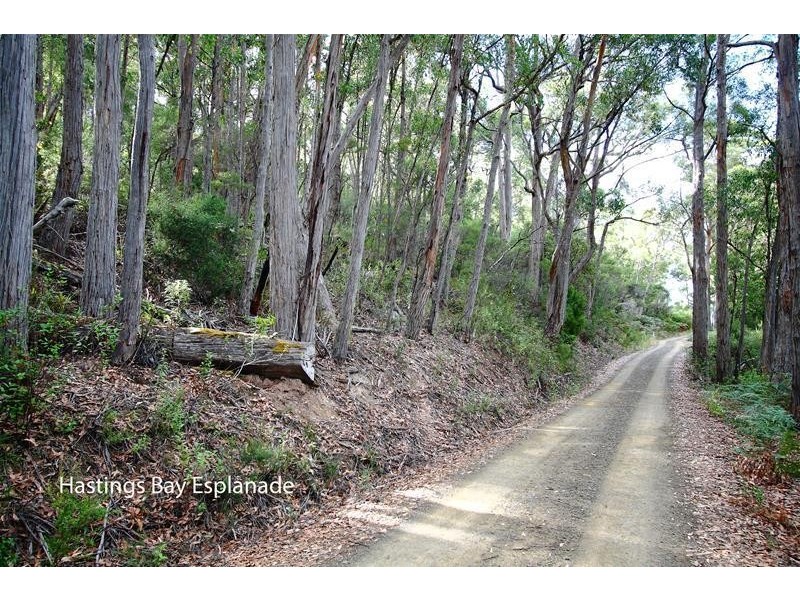 210863/1 Hastings Bay Esplanade, Hastings TAS 7109