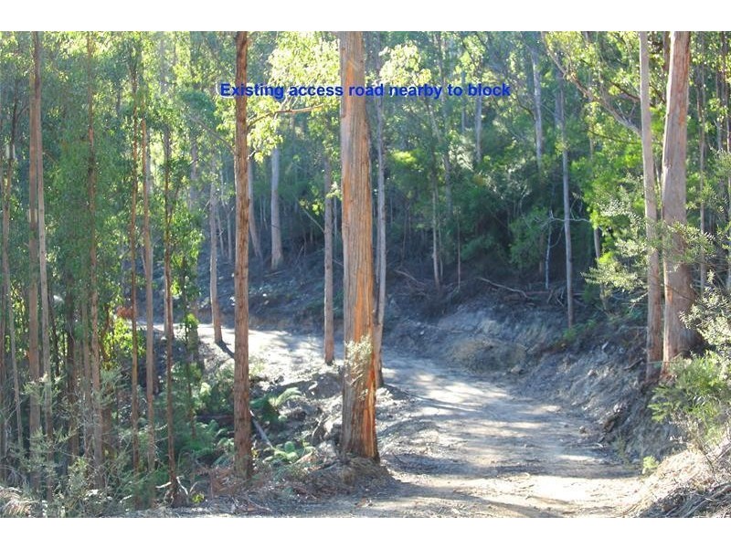 206220/1 Bakers Creek Road, Lucaston TAS 7109