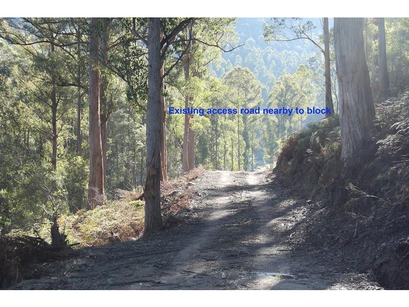 206220/1 Bakers Creek Road, Lucaston TAS 7109