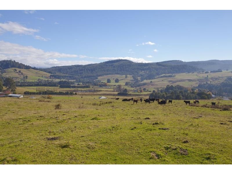 1 Judds Hill Road, Geeveston TAS 7116