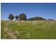1 Judds Hill Road, Geeveston TAS 7116